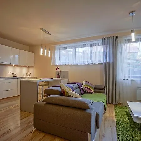 Panorama Tatr Widokowy Z Tarasem 扎科帕内