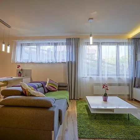 公寓 Panorama Tatr Widokowy Z Tarasem 扎科帕内